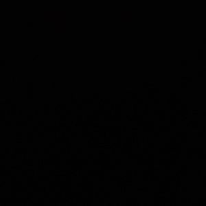 Meet your Posher, Gillian